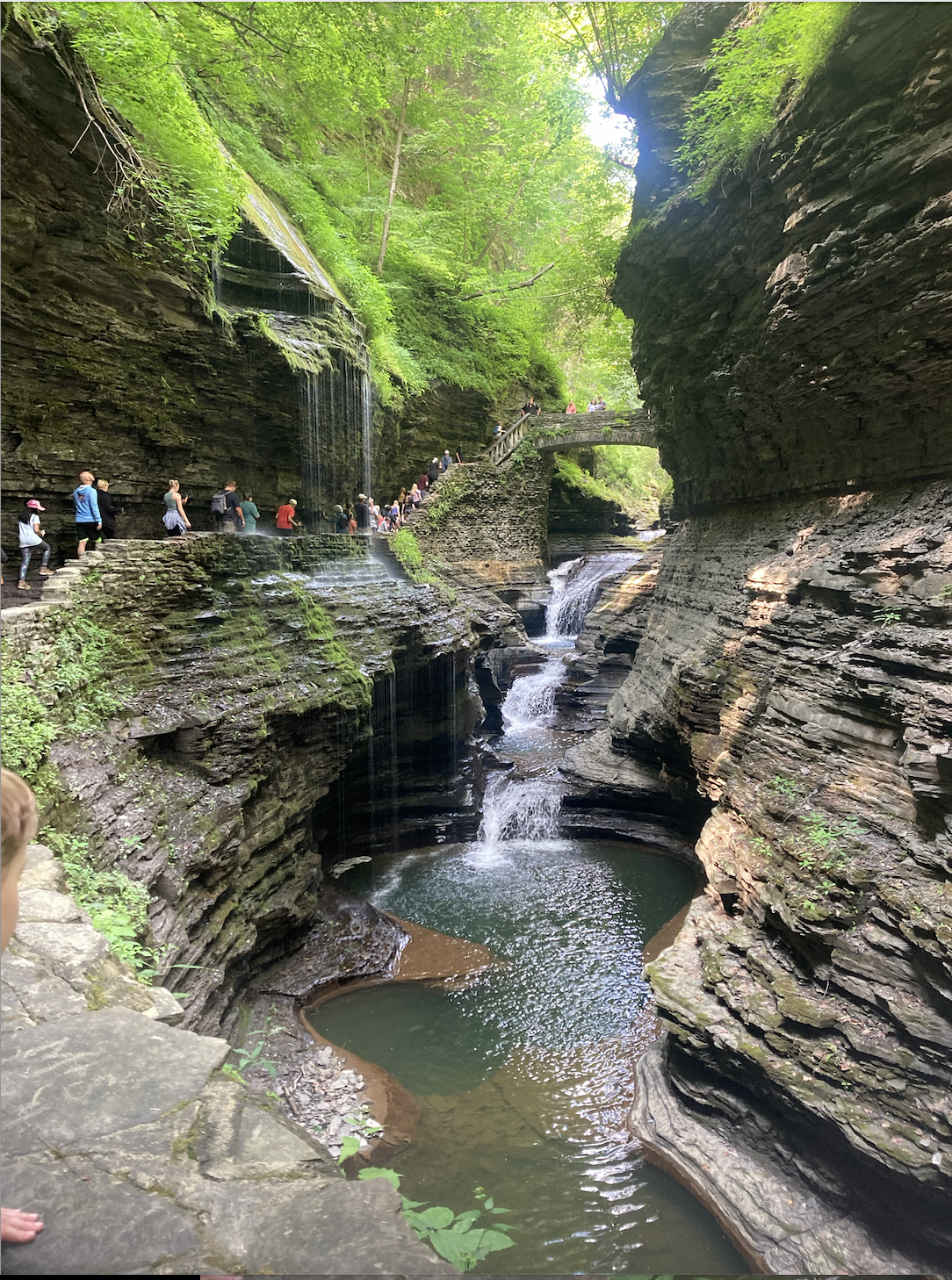 Gorge at Watkins Glen State Park