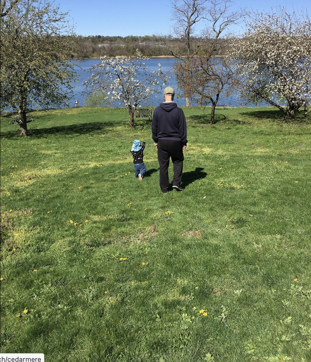 The backside of a child and father walking on the grass toward the harbor.